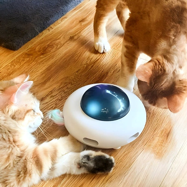 Cat-UFO™ - Erhöht den Spaß und lindert die Langeweile für Katzen - Juvenda