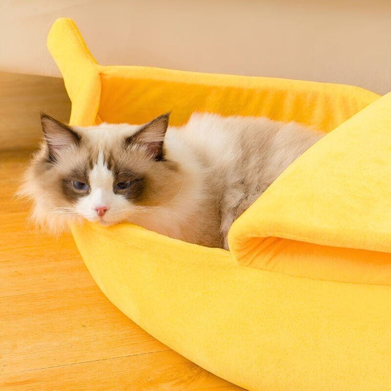 FurryFruit™ - Gönne deiner Katze ihre Nickerchenzeit - Juvenda