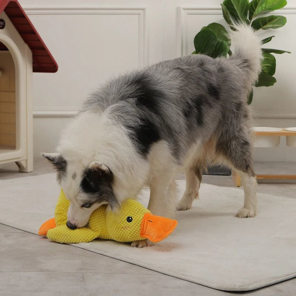 Quacky - Ultimatives Enten-Plüsch-Hundespielzeug - Juvenda