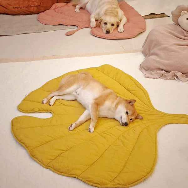 YumiDog™ - Einzigartige & komfortable Hundedecke - Juvenda